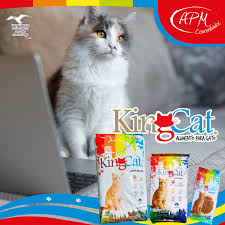 King Cat  1Kg
